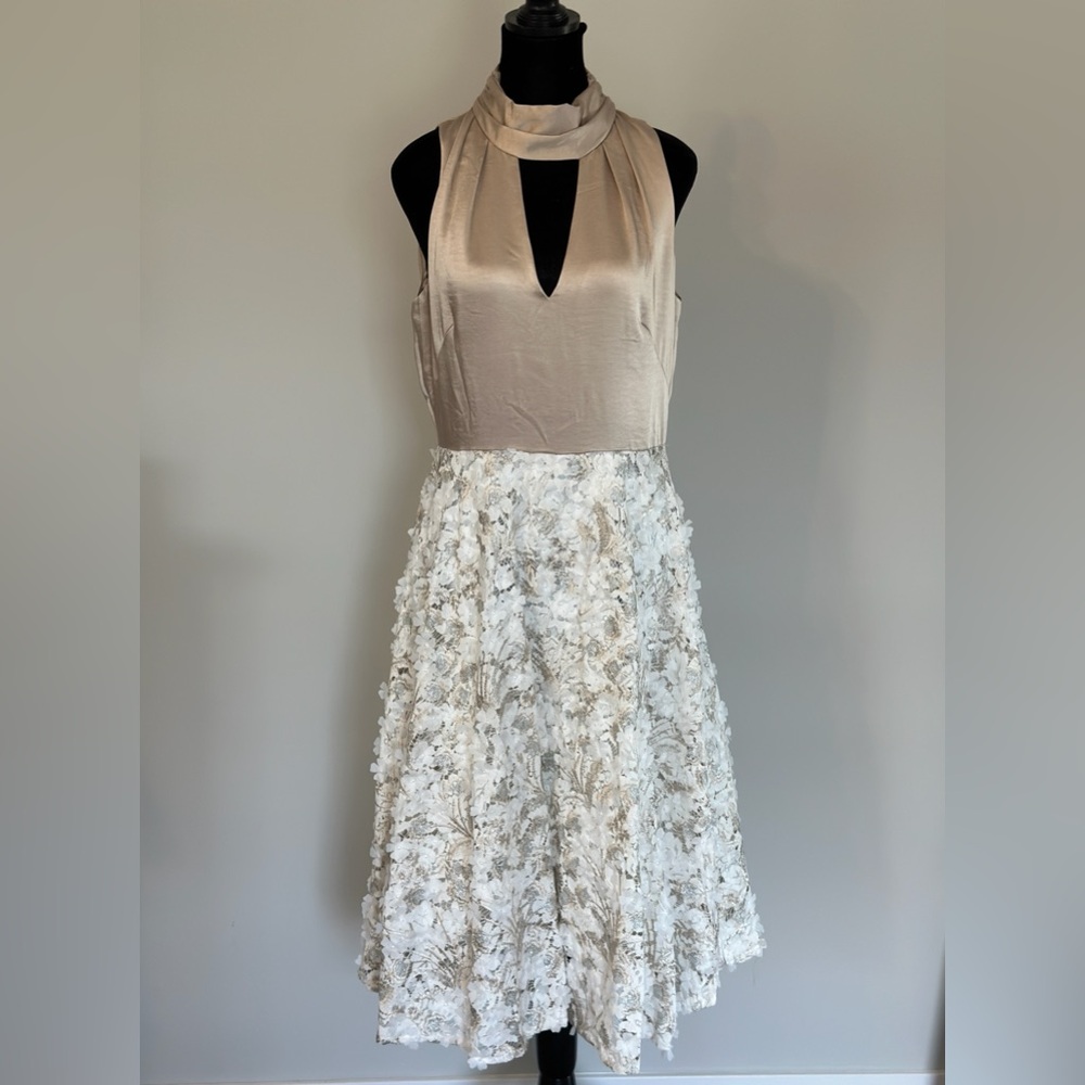 NWT white house black market dress